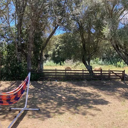 Mobilhome Terrain Privé Cuisine D été Sud Corse *